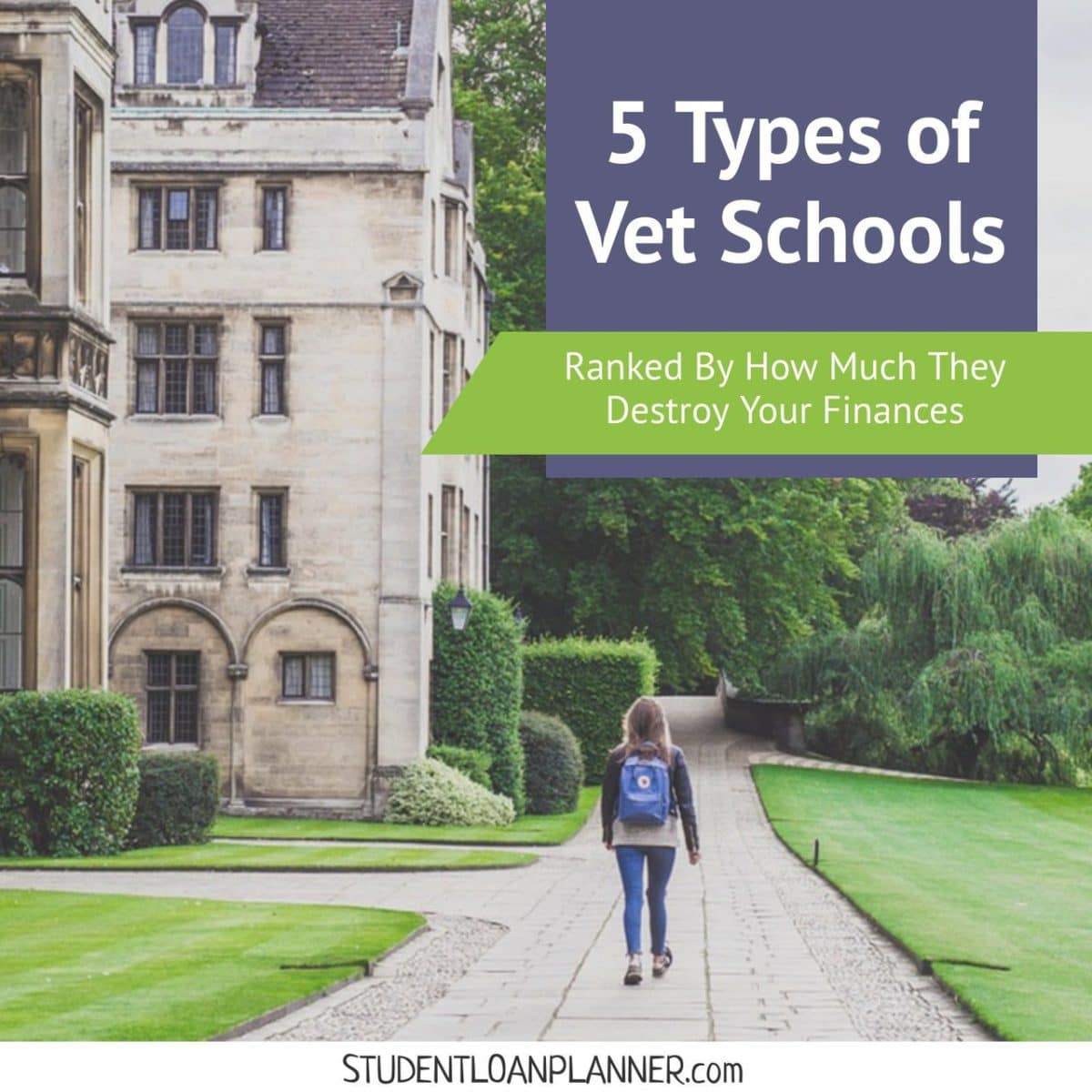 5-types-of-vet-schools-ranked-by-how-much-they-destroy-your-finances