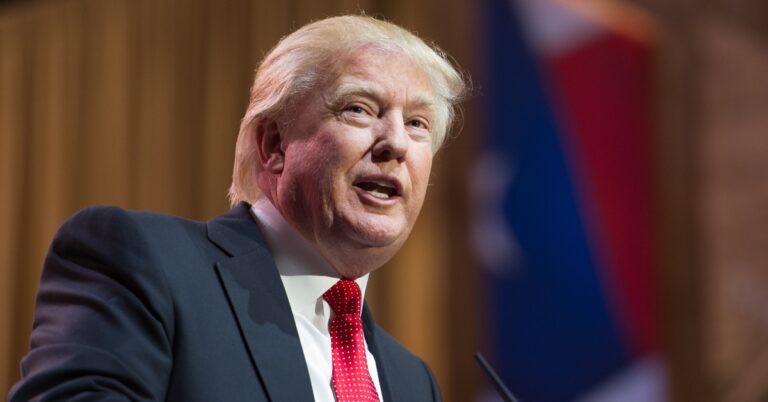 Donald Trump speaks at the Conservative Political Action Conference (CPAC).